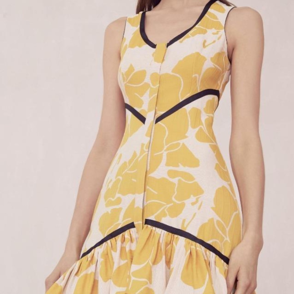 Alexis dress